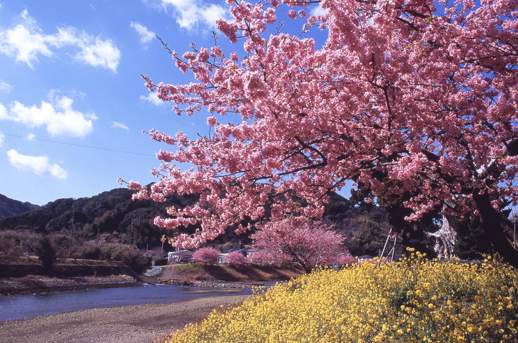Hotel Yamadaya ชิโมดะ ภายนอก รูปภาพ